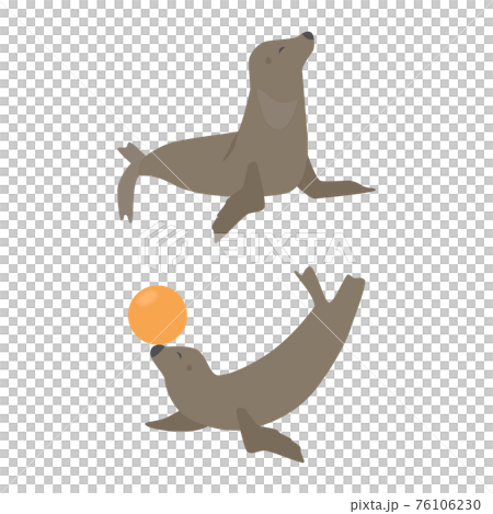 海獅插圖集 海獅插圖集 76106230