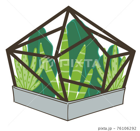 Succulents growing in glass terrarium ecosystem Succulents growing in glass terrarium ecosystem 76106292