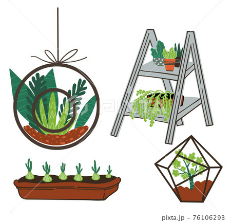 Succulents and flowers in terrariums and pots Succulents and flowers in terrariums and pots 76106293