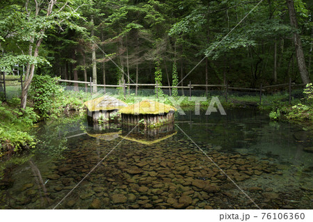 来運神社 来運の水の透き通る水面の写真素材