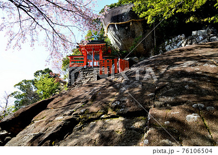 神倉神社　御神体のゴトビキ岩と桜 76106504