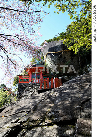 神倉神社 御神体のゴトビキ岩と桜 神倉神社 御神体のゴトビキ岩と桜 76106506