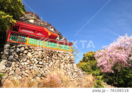 神倉神社　御神体のゴトビキ岩と桜 76106518