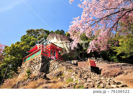 神倉神社　御神体のゴトビキ岩と桜 76106522