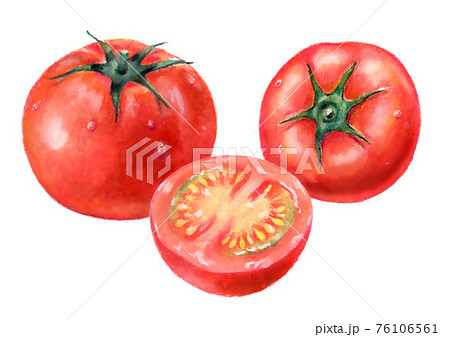 トマトと半分にカットしたトマトのイラストのイラスト素材