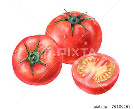 トマトと半分にカットしたトマトのイラストのイラスト素材