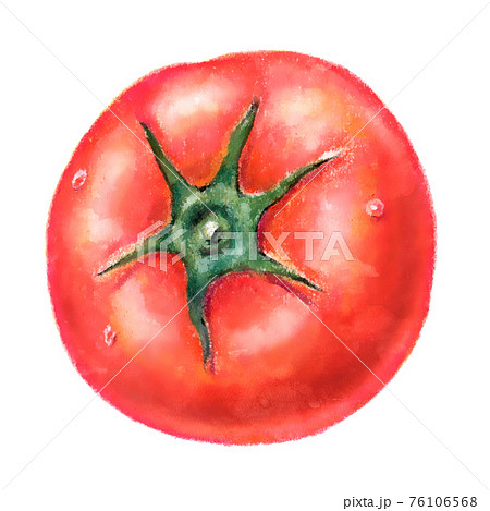 新鮮なトマトのイラストのイラスト素材