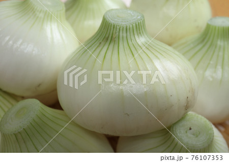 早生タマネギ収穫してすぐ写しました。 早生タマネギ収穫してすぐ写しました。 76107353