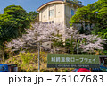 桜が満開の城崎温泉　ロープウェイ 76107683