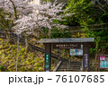 桜が満開の城崎温泉　ロープウェイ 76107685