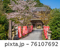 桜が満開の城崎温泉　温泉寺 76107692