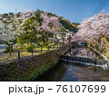 桜が満開の城崎温泉 76107699
