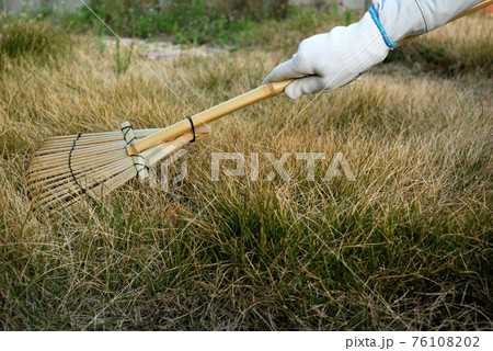 芝生　手入れ　サッチング　手元 76108202