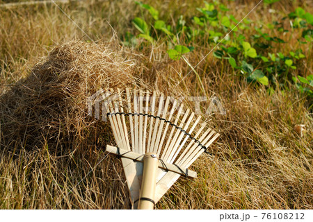 芝生 手入れ サッチング 芝生 手入れ サッチング 76108212