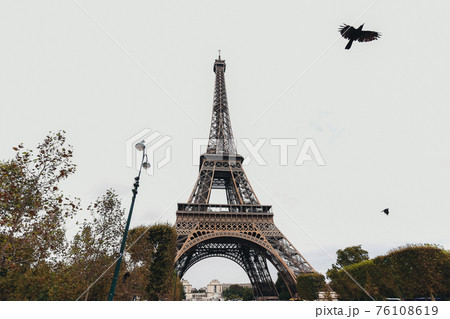 Eiffel tower in autumn. Flying bird by Eiffel tower. 76108619