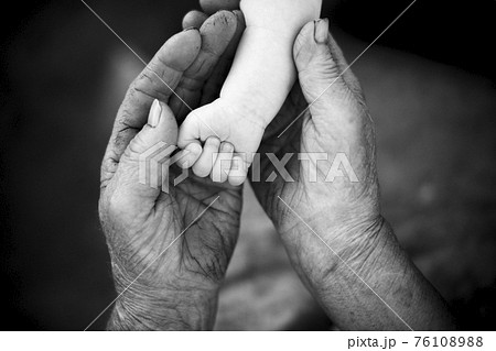 youth and old age. Hands of grandmother and granddaughter youth and old age. Hands of grandmother and granddaughter 76108988