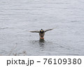 滑空 76109380