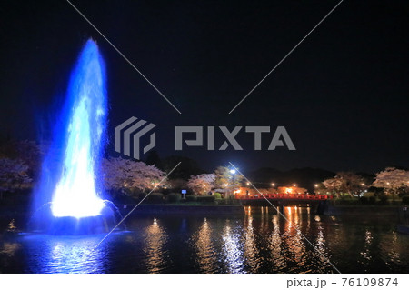 甘木公園のブルーの水柱と満開の夜桜 甘木公園のブルーの水柱と満開の夜桜 76109874