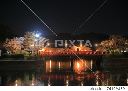 満開の艶やかな夜桜の下のシルエットロマンス 満開の艶やかな夜桜の下のシルエットロマンス 76109880