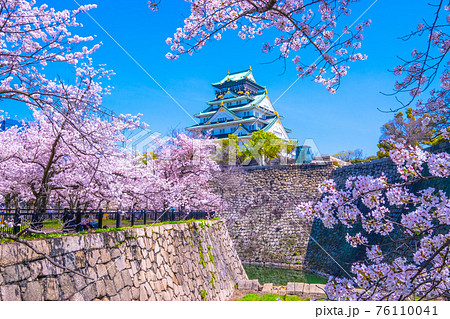 大阪城の桜 76110041