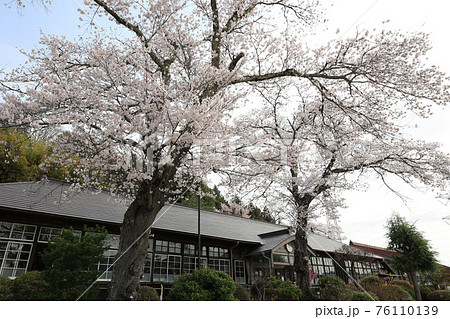 春の旧上岡小学校 茨城県大子町 春の旧上岡小学校 茨城県大子町 76110139