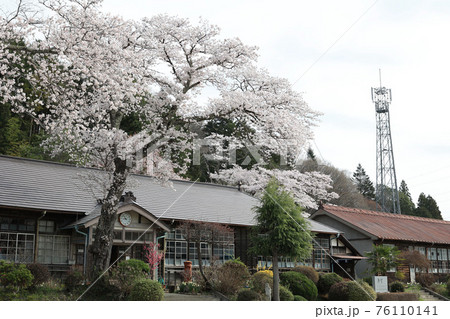 春の旧上岡小学校 茨城県大子町 春の旧上岡小学校 茨城県大子町 76110141