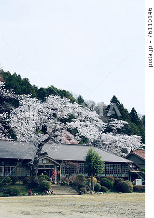 春の旧上岡小学校 茨城県大子町 春の旧上岡小学校 茨城県大子町 76110146