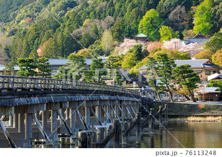春の京都嵐山渡月橋 76113248