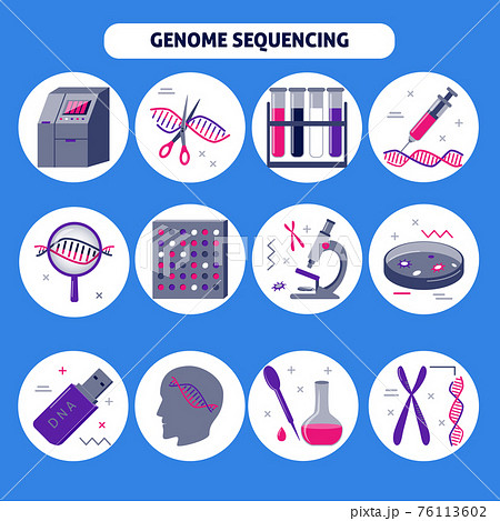 Genome research icon set in flat style 76113602