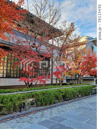 晴れの日紅葉　京都 76115430