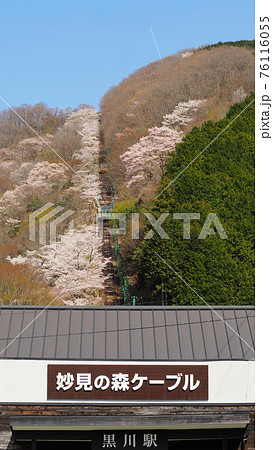 桜満開の妙見の森ケーブルカー 桜満開の妙見の森ケーブルカー 76116055