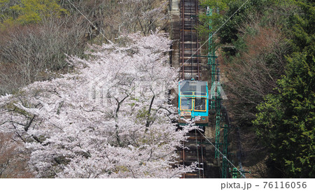 桜満開の妙見の森ケーブルカー 桜満開の妙見の森ケーブルカー 76116056