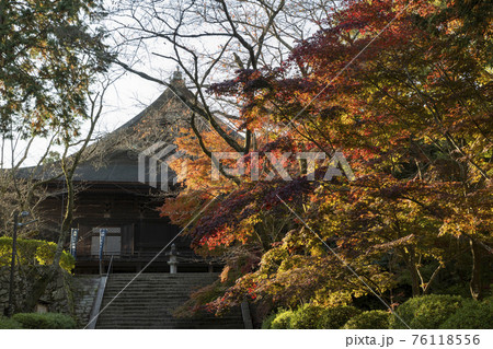 三井寺の金堂の見える場所での紅葉 三井寺の金堂の見える場所での紅葉 76118556