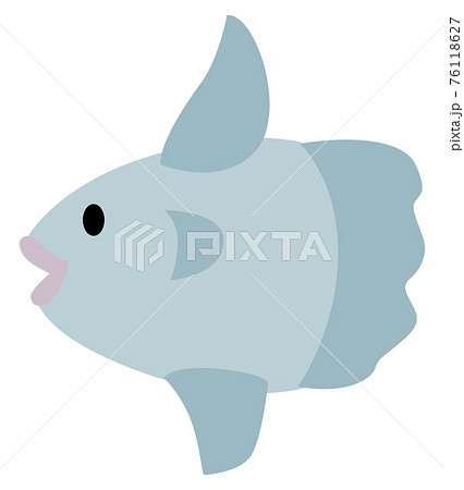 マンボウのイラスト マンボウのイラスト 76118627