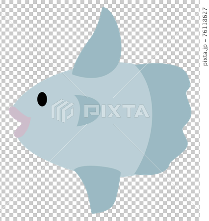 マンボウのイラスト マンボウのイラスト 76118627