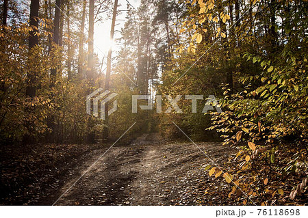 Autumn road in the forest. Golden autumn. Red wood 76118698