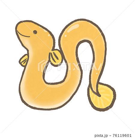 R：もっとメルヘンな水族館☆うなぎ② 76119601