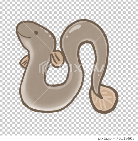 R：もっとメルヘンな水族館☆うなぎ① 76119603