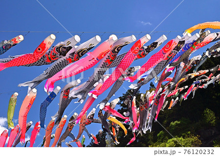 群馬県神流町の鯉のぼり祭り 群馬県神流町の鯉のぼり祭り 76120232