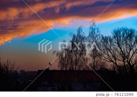 Houses and trees at sunset 76121090