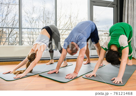 Group yoga cat pose with head down Group yoga cat pose with head down 76121468