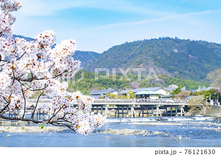 嵐山 渡月橋 桜 嵐山 渡月橋 桜 76121630