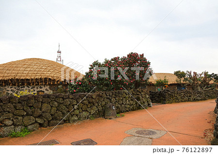 桜 春 バラの花 76122897