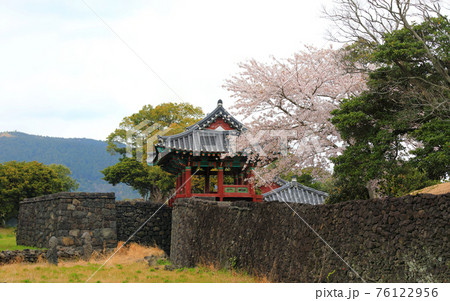 桜 春 韓屋 76122956