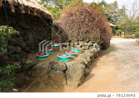 桜 春 バラの花 76123043