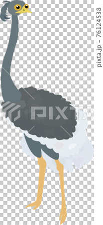 Funny cartoon gray ostrich isolated on white Funny cartoon gray ostrich isolated on white 76124538