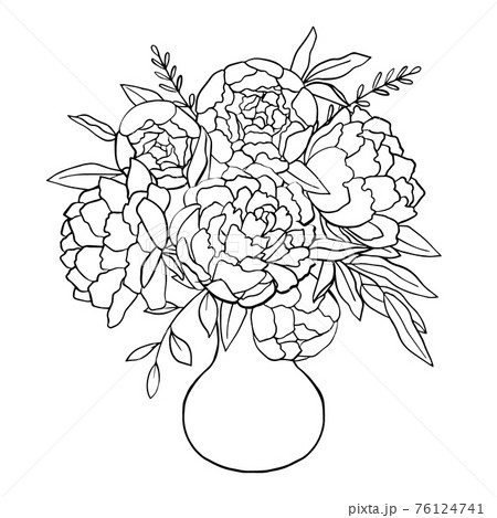 Peony Arrangement Line Drawing By Color Color