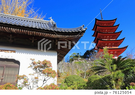 【広島県】秋の宮島(厳島神社) 【広島県】秋の宮島(厳島神社) 76125054