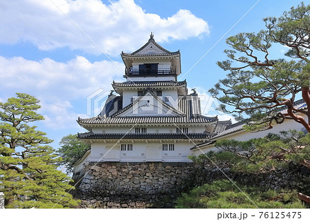 【高知県】高知城(天守閣) 【高知県】高知城(天守閣) 76125475