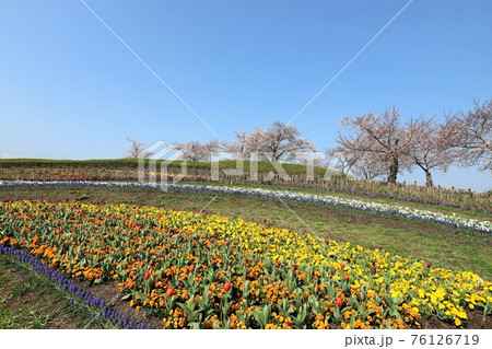 馬見丘陵公園の春景色 馬見丘陵公園の春景色 76126719